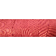 full image Polyester Ripcord