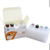 EuDx™-PN MLC Detection Kit