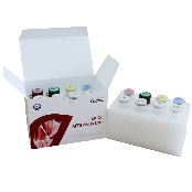 EuDx™-MTB Detection Kit