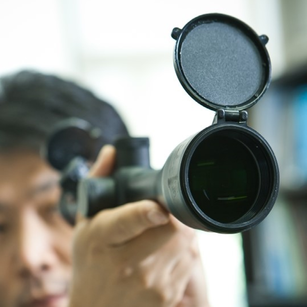 Dot sight