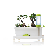 full image Smart Grow