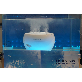 detail image2 Apply high capacity battery Paino Hydrogen water spa (made in Korea)