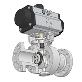 detail image1 Inserted Seg-Ball Valve