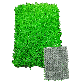 full image KBSE