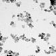 full image Zirconium Oxide (ZrO2)