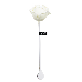 full image Love Rose LED LIGHT