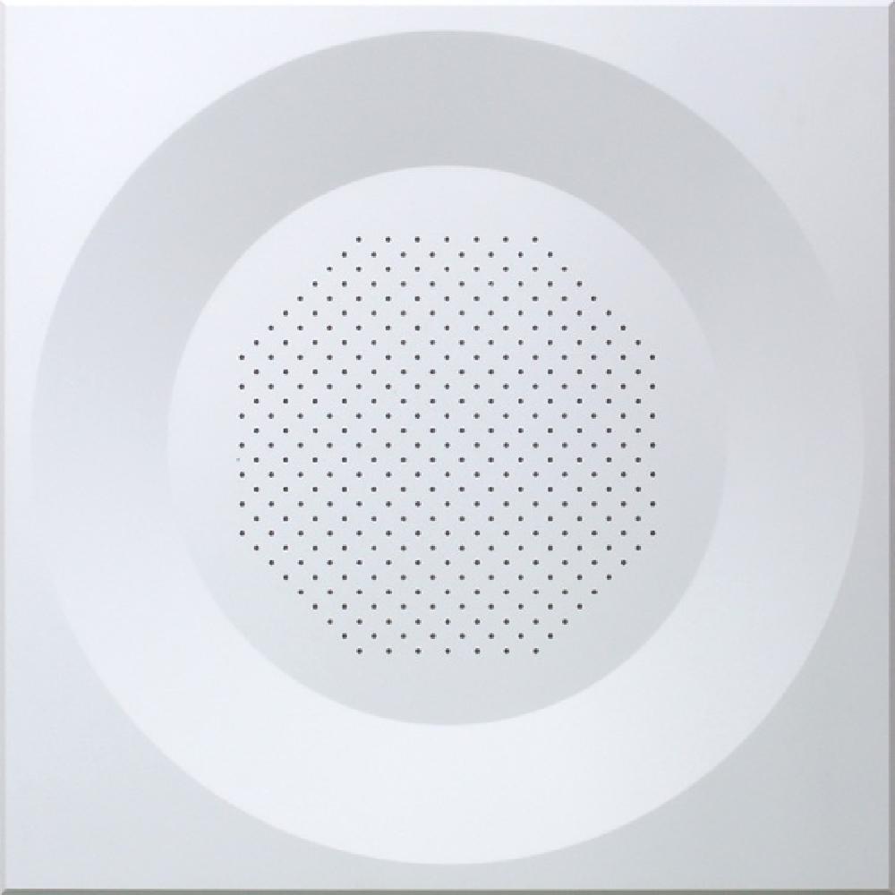 SMC ceiling panel