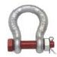 detail image1 SHACKLE
