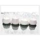 full image CORAX(Water Based Mold Release Agent)