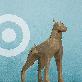 detail image1 Dobermann Pinscher