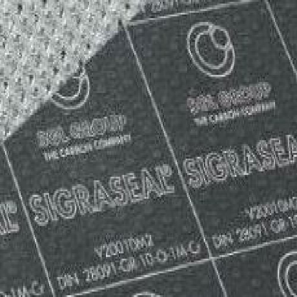 SGL Graphite Insert 316 Tang Gasket