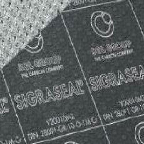 SGL Graphite Insert 316 Tang Gasket
