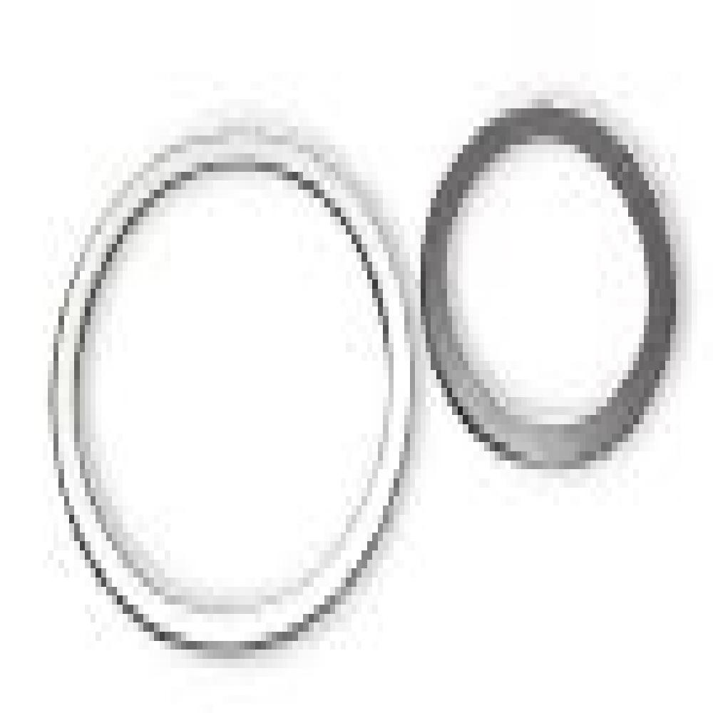 Spiral Wound Gasket