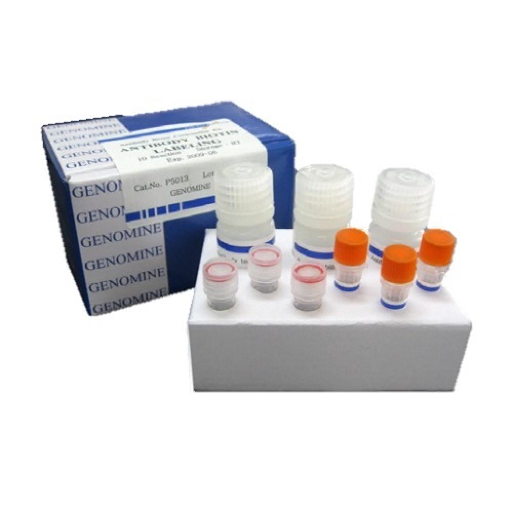 PhosProTM kit