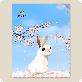 full image Microfiber Cleaning Cloth