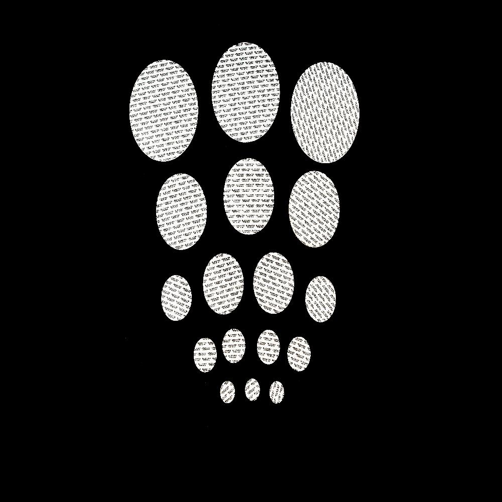 PSP Liner