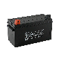 full image Tubular Maintenance Free battery