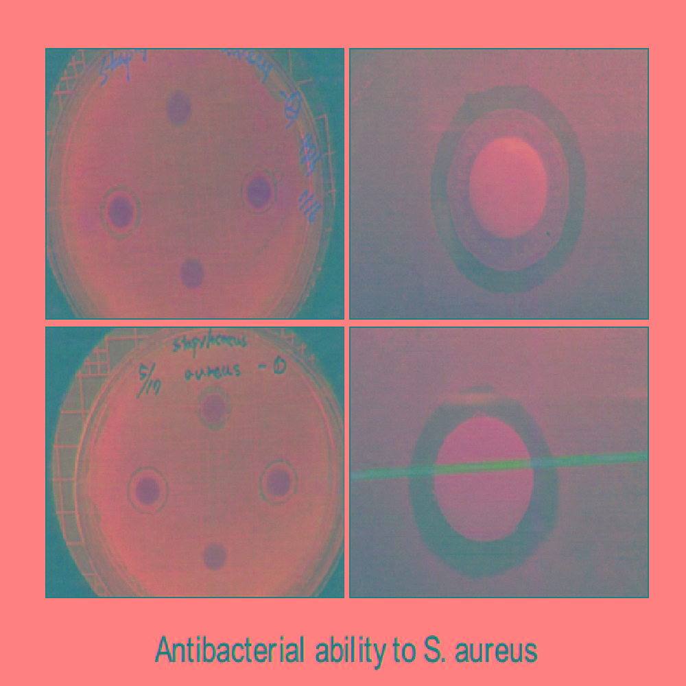 SYNERCELL