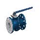 full image FLOATING FLANGED ENDS
