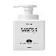 full image Zetta Foaming Antibacterial Hand Wash (Greengrape)