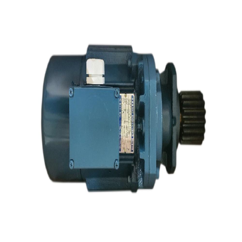 Hoist Motor