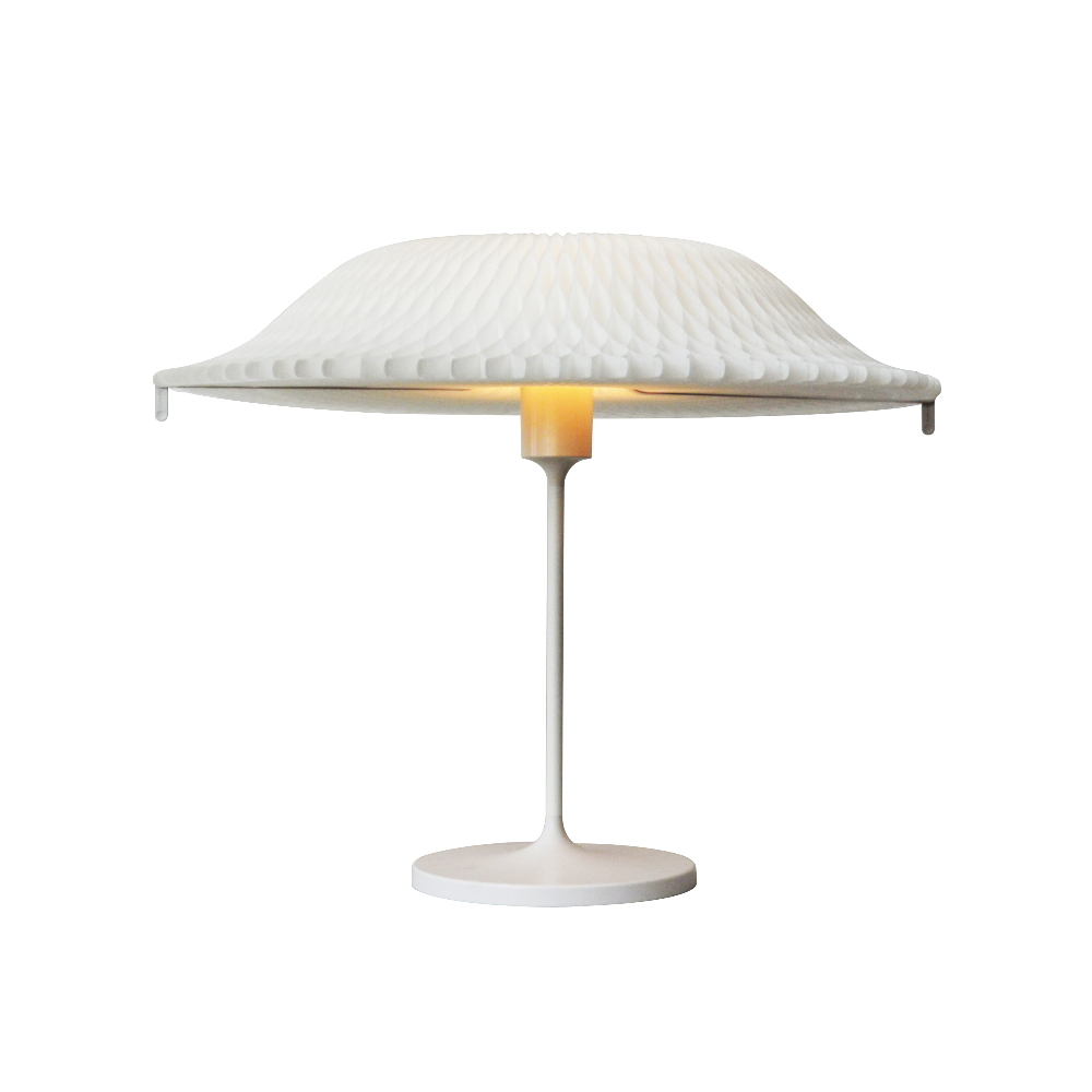 NANUM D'LIGHT Auto