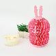 detail image3 PIOZIO Animal Humidifier Doctor