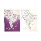 full image Dream Sky Nation-Map Decorative Coloring Painting DIY Paper Continent Map - India