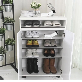 detail image3 HomeCera Shoes Dryer S200 - SILVER