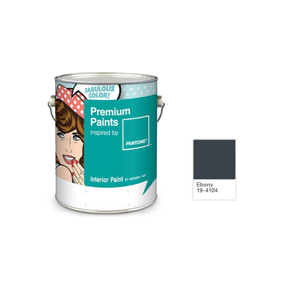 Paint - ebony