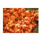 detail image1 Red Pepper Sauce 9kg