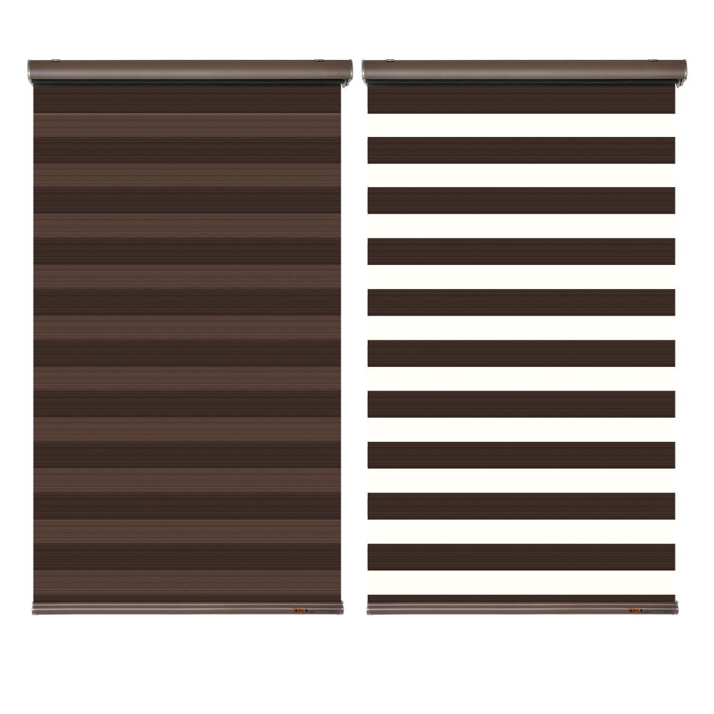 Seek Blackout Zebra Blind