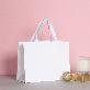 detail image1 Premium White Kraft Bag