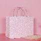 detail image1 Premium Pink Pearl Bag