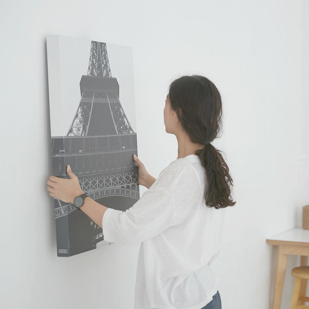 NAPAL frame
