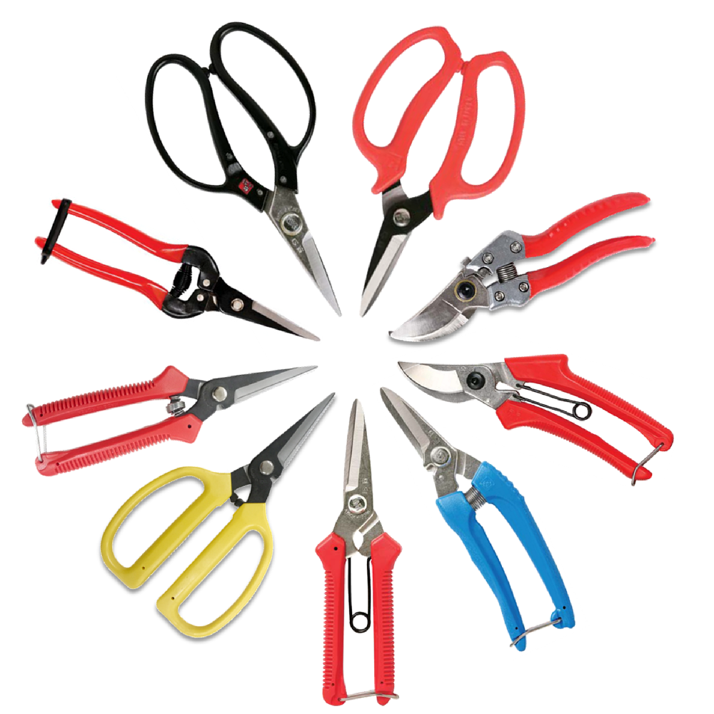 Fruit Scissors for Trimming