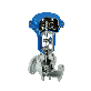 detail image2 Control Globe Valve