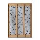 full image ABS Door (ABS Door, Triple Sliding Door, Sliding Door, Inner Door)