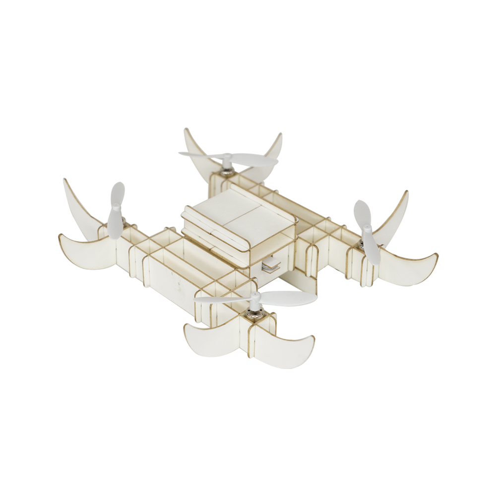 paperus Turtle ship
