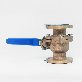 detail image1 BRONZE BALL VALVE
