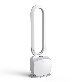 detail image2 Ariamedi Clean Gate_Automatic disinfectant spray [Pearl white]