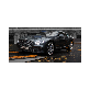 detail image1 Paint protection film(PPF)