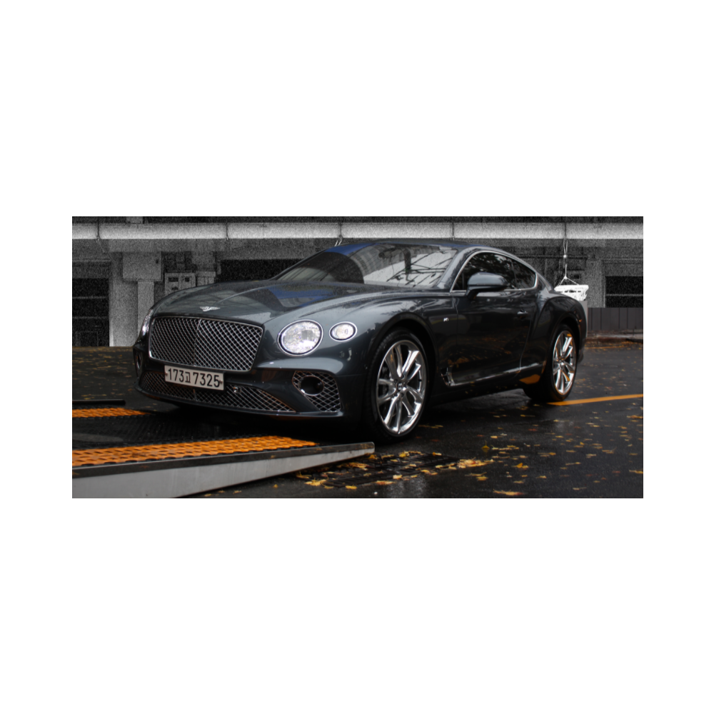 Paint protection film(PPF)