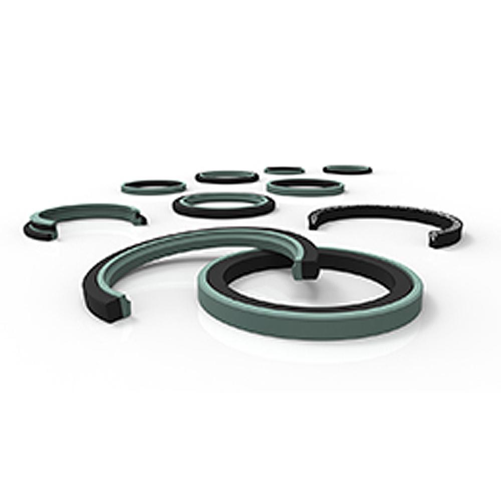 Rotary Shaft Seal