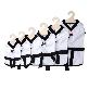 detail image3 [YOUTHDOG] TAEKWONDO Black Sports Jacket With Waist Strap For Pets