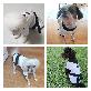 detail image4 [YOUTHDOG] TAEKWONDO Black Sports Jacket With Waist Strap For Pets
