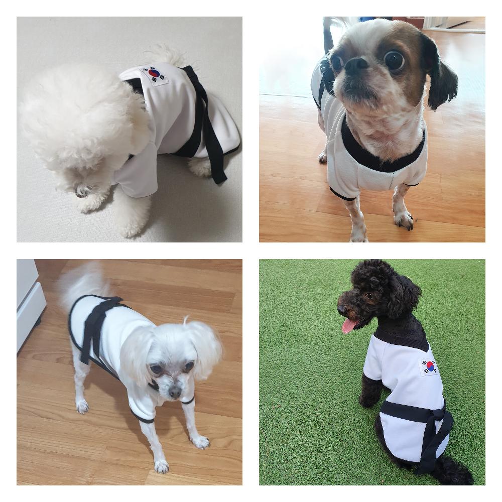 [YOUTHDOG] TAEKWONDO Black Sports Jacket With Waist Strap For Pets
