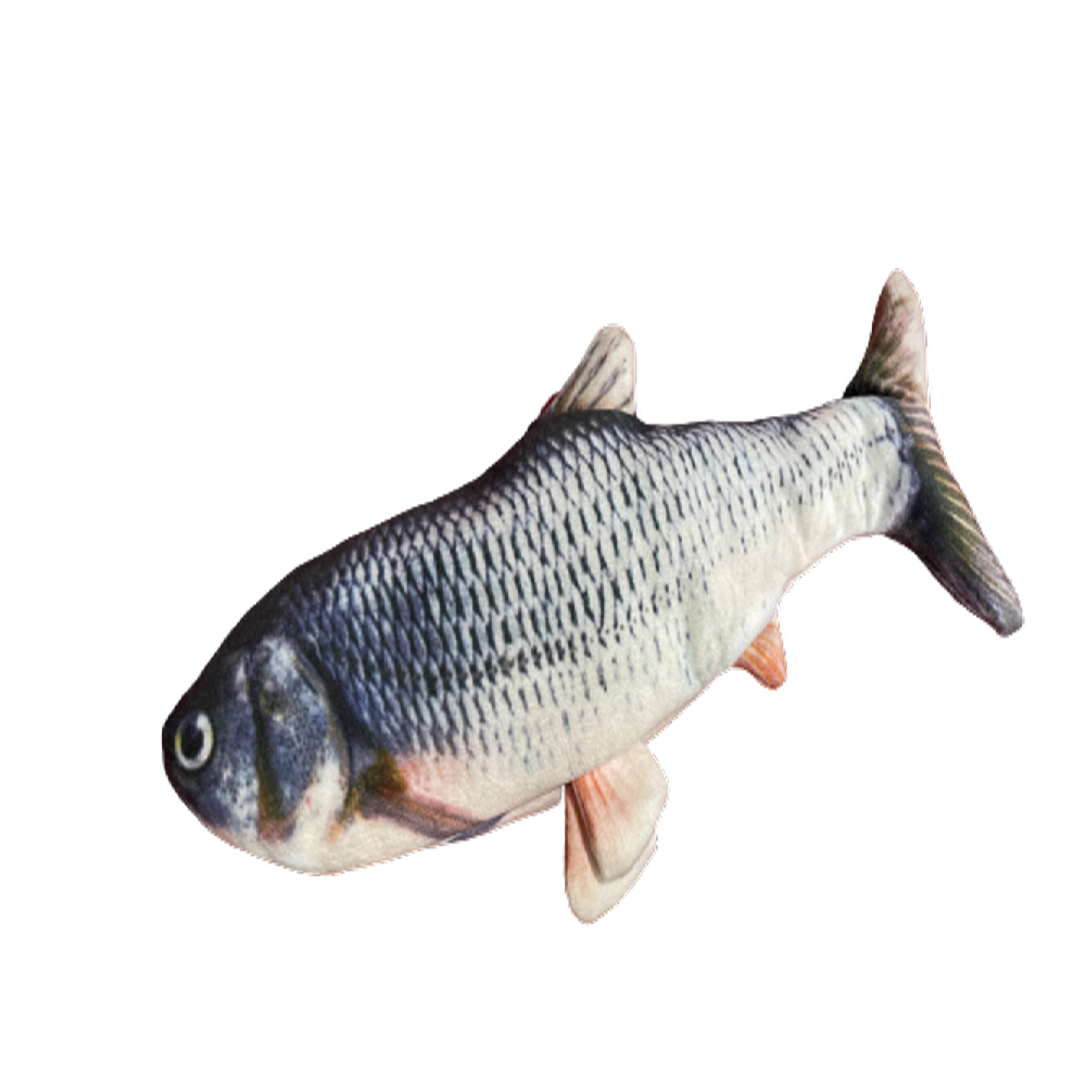 Hamilpet Bluetooth Fish