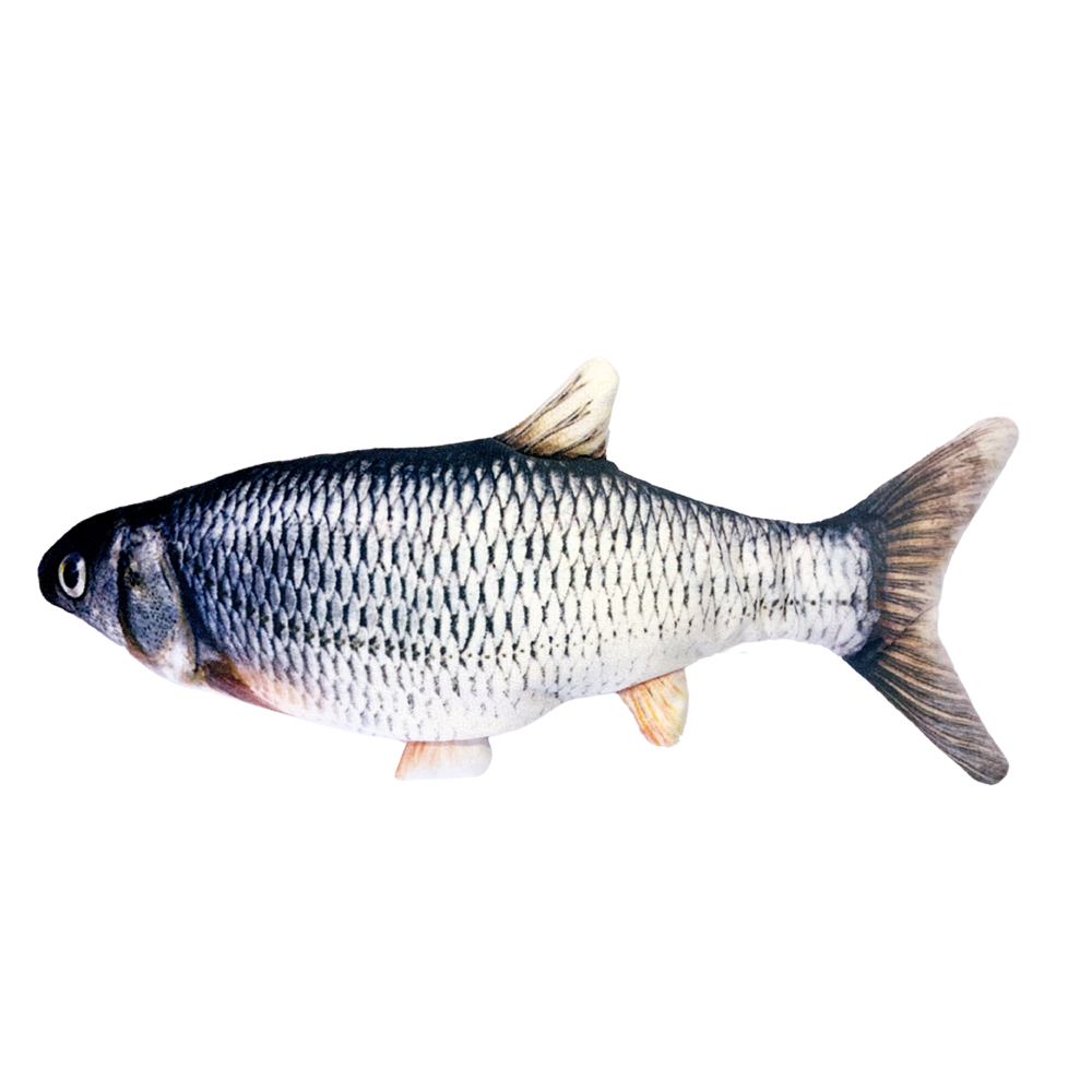 Hamilpet Bluetooth Fish