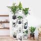 detail image1 [Bandi] 9 tier plant stand shelf